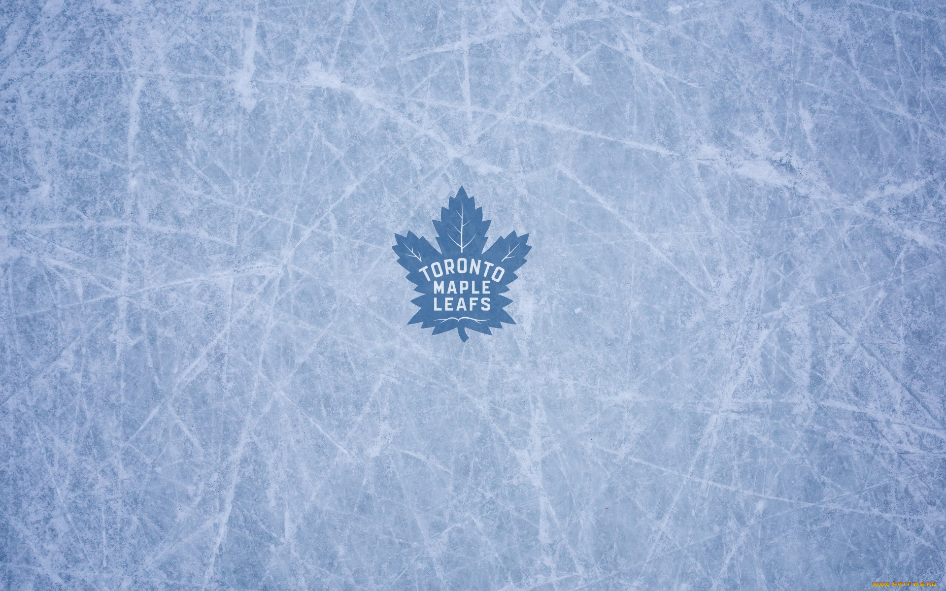 ,  , maple, leafs, toronto